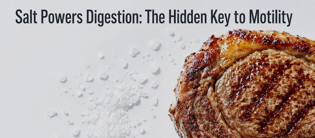 Landscape overhead photo of salt and steak symbolizing electrolyte balance and smoother digestion on carnivore.